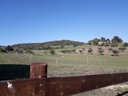 Escursione intorno a Rio Pecorara e Monte Colombo