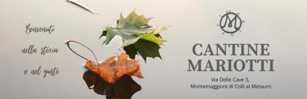 Degustazioni Natalizie