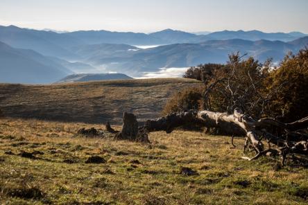 Lo sperduto Monte Poggio Martello