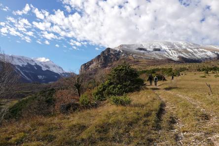 Il bosco invernale sopra Amandola