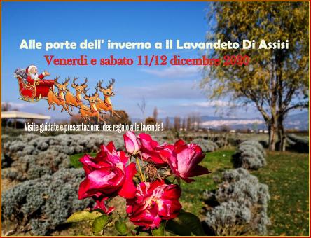 Passeggiata e visite  guidate ai giardini de IL LAVANDETO DI ASSISI
