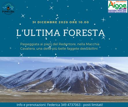 L'ultima foresta, la macchia Cavaliera
