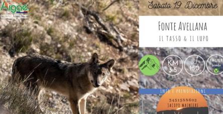 Escursione per bambini