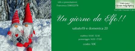 Un giorno da Elfo