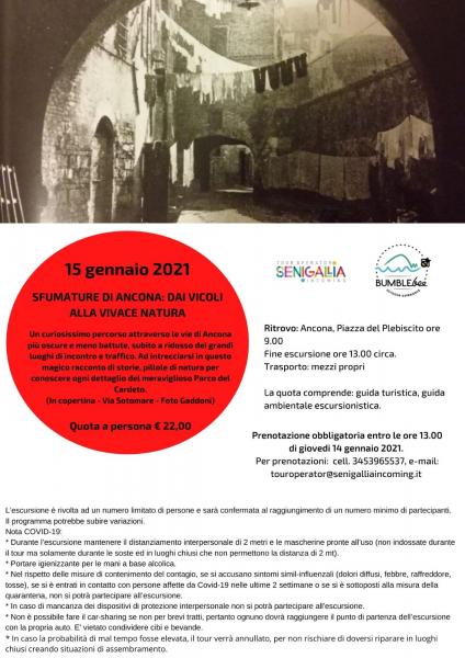 Sfumature di Ancona: dai vicoli alla natura