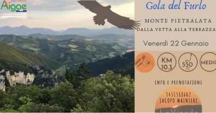 Gola del Furlo : Monte Pietralata