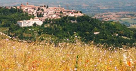 Viaggio nelle Marche, tra boschi e borghi dell’Appennino