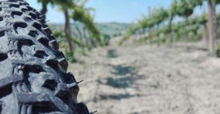 Viaggio nelle Marche