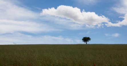 Viaggio nelle Marche, tra borghi e arte a Cingoli