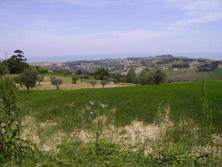 Torre di Montignano e Squartagallo: escursione in campagna