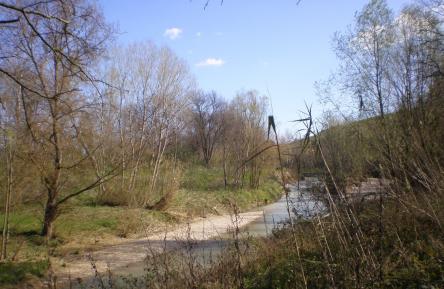 Giornata della Terra: escursione al Fiume Misa