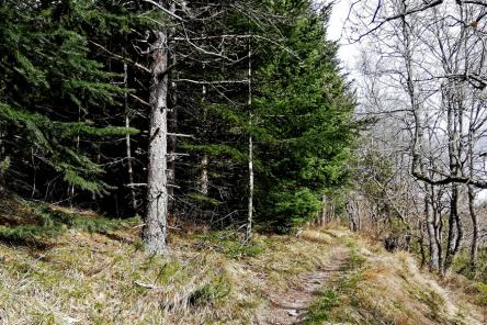 Perdersi sul Monte Cafaggio