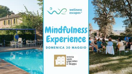 Mindfulness Experience | Tenuta Santi Giacomo e Filippo | Urbino