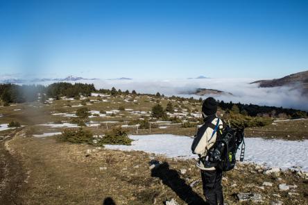 Monte Careschio: il Bove di fronte