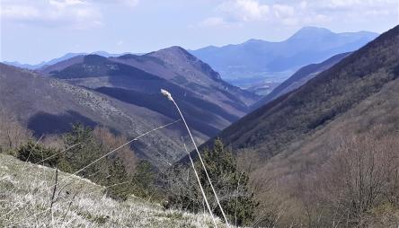 Alle sorgenti dell'Esino