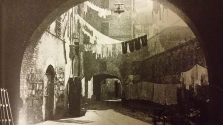 Ancona: dai vicoli alla vivace natura