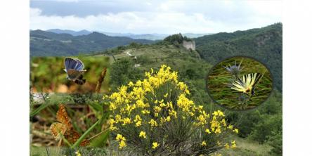 Col di Pietra e il Giardino delle Farfalle