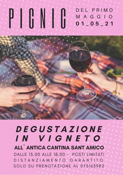 Degustazioni di Maggio in Vigneto