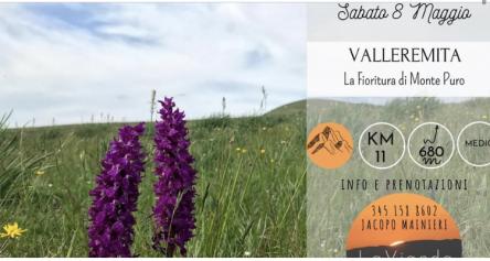 La Fioritura di Monte Puro