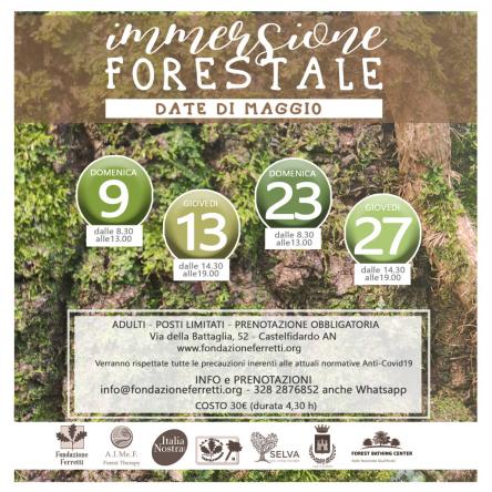 IMMERSIONE FORESTALE