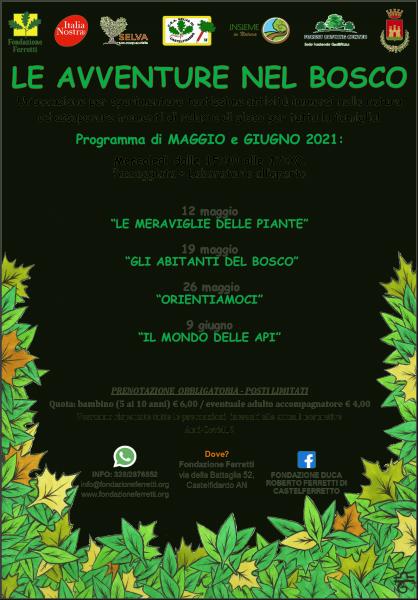 LE AVVENTURE NEL BOSCO