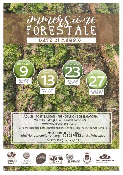 IMMERSIONE FORESTALE