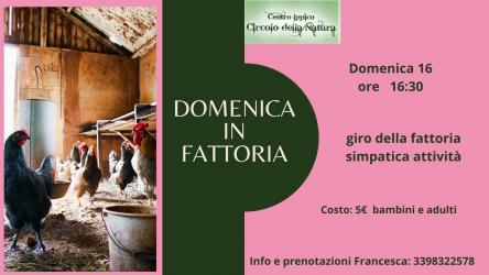 Domenica in fattoria