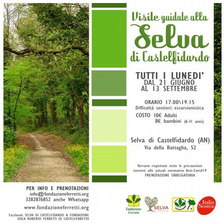 VISITE GUIDATE NELLA SELVA!