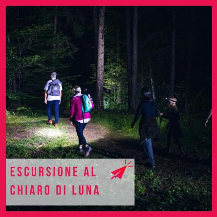 Escursione al chiaro di Luna