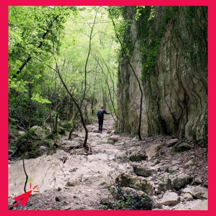 Escursione - Sentiero del Papa e Valle Scappuccia