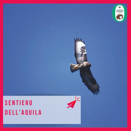 Escursione - Sentiero dell'Aquila