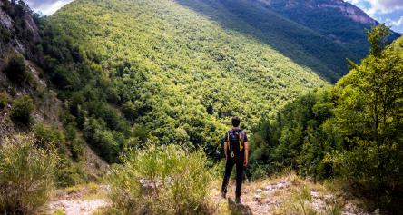 Rio Sacro: valle di eremiti e di lupi