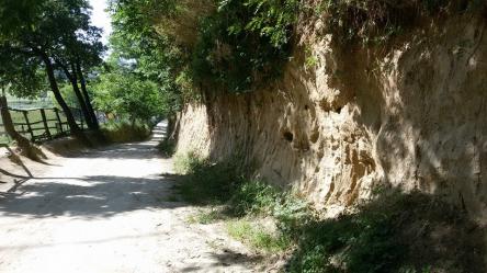 Valle dei Tufi, Gruccioni e vino