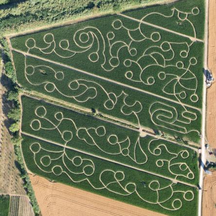 Il tramonto al Misa e poi a perdersi nel Labirinto di mais