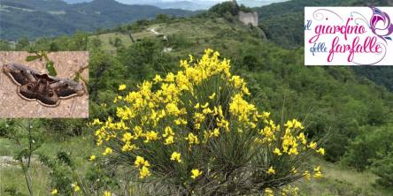 Cena al tramonto a Col di Pietra e Notte delle Falene