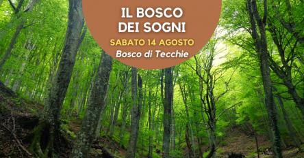 Il bosco dei sogni