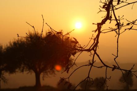 Gli EcoTuristici: escursione al tramonto e aperitivo