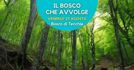 Il bosco che avvolge