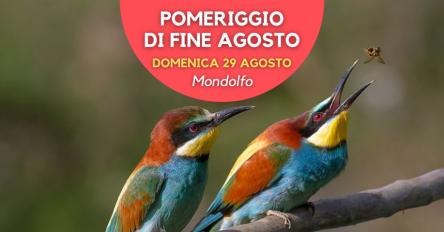 Pomeriggio di fine agosto