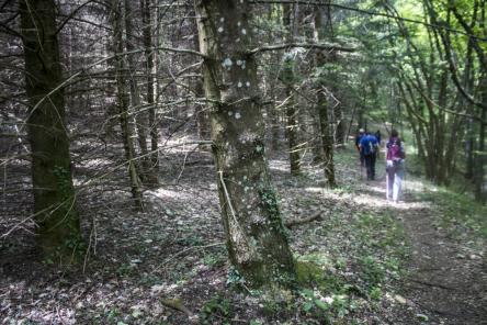 Monte Cafaggio e Monte Rapina