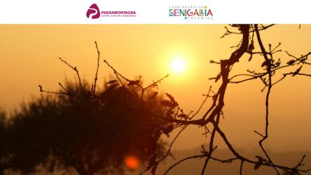 Tramonto in campagna a Sant'Apollonia