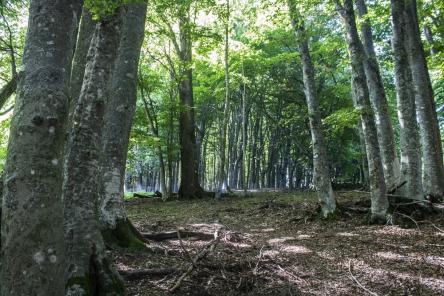 Dalla Valle Tre Santi agli straordinari panorami
