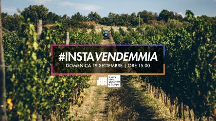 InstaVendemmia 2021