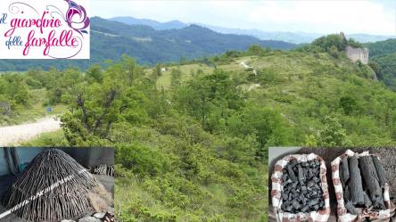 La TransuPanza V Edizione