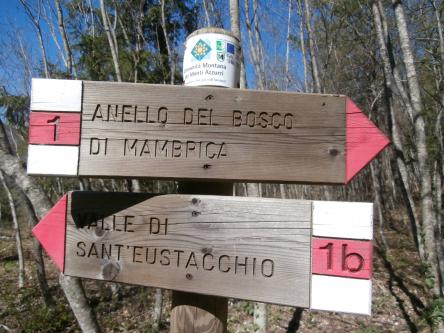 Escursione al Monte d'Aria: un anello di panorami