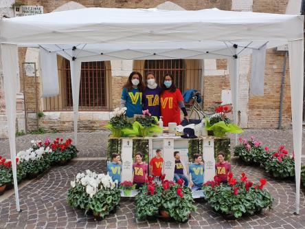 Ciclamino Fondazione Ricerca Fibrosi Cistica