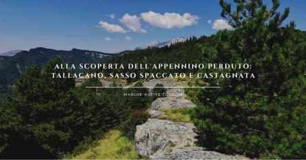 Alla scoperta dell'Appennino perduto: Tallacano, Sasso spaccato e castagnata