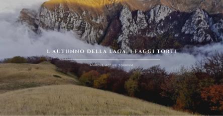 L'autunno della Laga, i faggi torti
