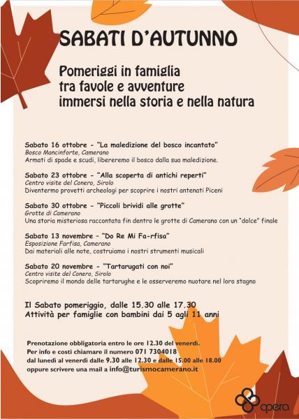 La maledizione del bosco incantato