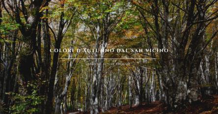 Colori d'autunno dal San Vicino